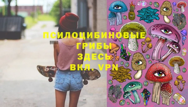 стафф Алексин