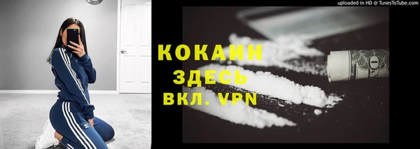стафф Алексин