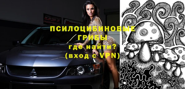 мдпв Данков