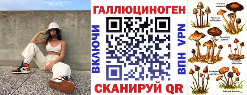 Галлюциногенные грибы Cubensis  продажа наркотиков  сайты даркнета наркотические препараты  Кириши 